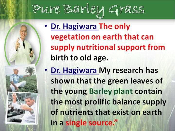 best green barley grass capsule