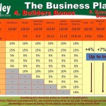 Sante Pure Barley Business Plan